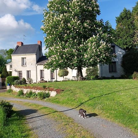 סומור Chambres D'Hotes De L'Ile Du Saule מראה חיצוני תמונה