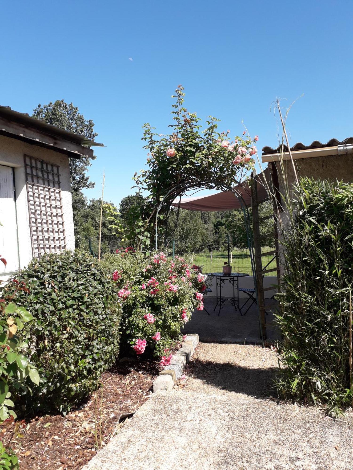 סומור Chambres D'Hotes De L'Ile Du Saule מראה חיצוני תמונה